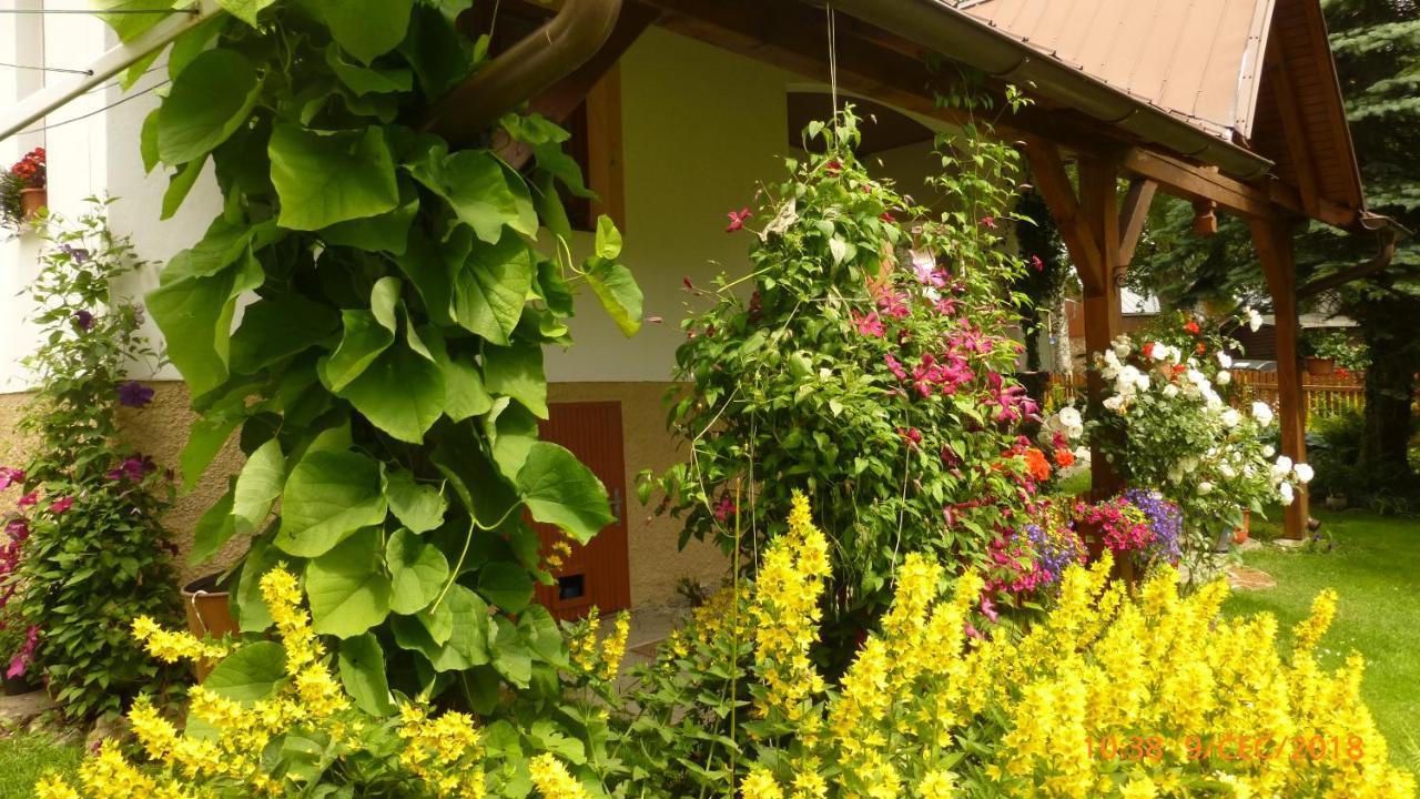 U Votapku Apartment Nove Hute Ngoại thất bức ảnh